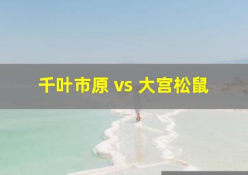 千叶市原 vs 大宫松鼠